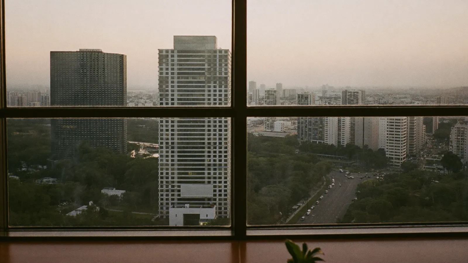 Vista da janela de um escritório alto para prédios e uma avenida arborizada no fim da tarde